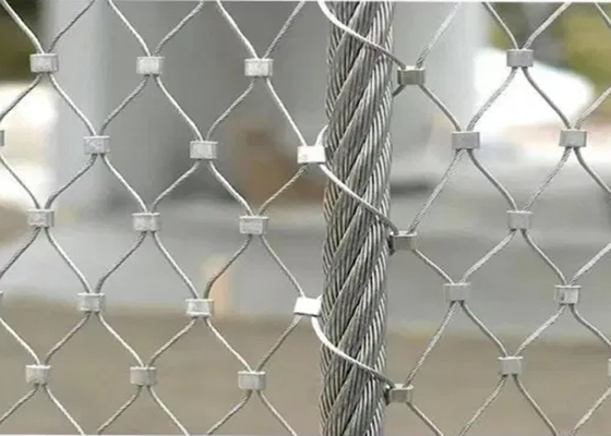 Stainless Steel Wire Cable Net For Gibbon Enclosure Mesh 