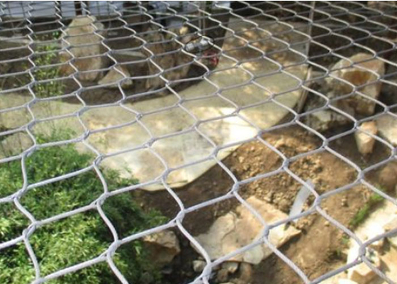 Độ bền cao SUS316 Kèm theo Zoo Wire Mesh Animal Wire Mesh
