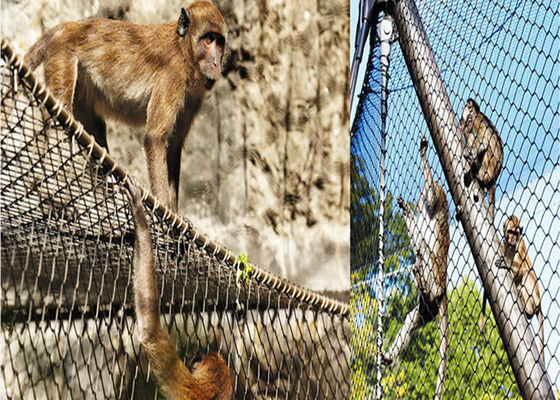 Đường kính dây 1,5mm Thép không gỉ Lưới chim Twill Dệt Bao bì hộp carton