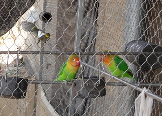Silver Wire Lightweight Aviary Netting với khẩu độ 30mm X 30mm