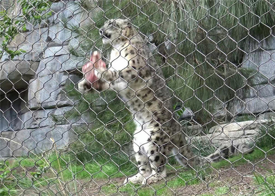 SS 304 Sợi dây lưới cho Lion Enclosure Mesh