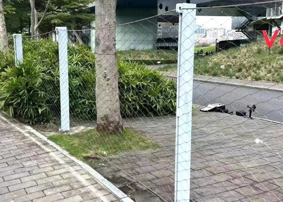 X X X X X X X X X X X X X X X X X X X X X X