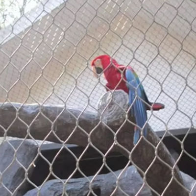 Tay dệt linh hoạt thép không gỉ Zoo dây lưới dây cáp lưới lỗ lớn hơn