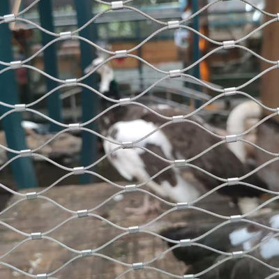316 Sợi dây rào Zoo hàng rào lưới thép không gỉ Dây lưới dây linh hoạt chim