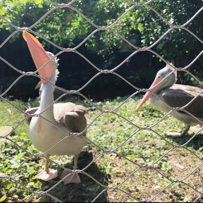 Ferrule dây thừng dây thừng Stainless Steel Cable Mesh cho Zoo Bird Aviary Net