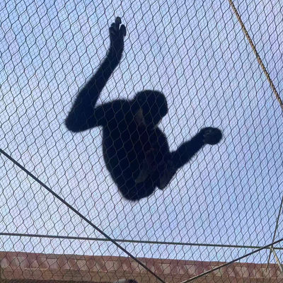 Stainless Steel Wire Rope Zoo Fencing Mesh Flexible Cable Netting Cho chuồng chim