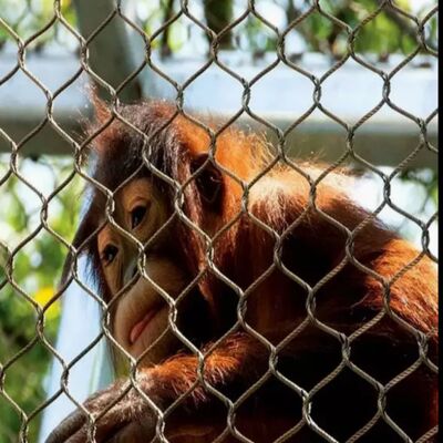 Mạng lưới bảo vệ lưới dây thừng chống ăn mòn phù hợp cho các dự án an toàn