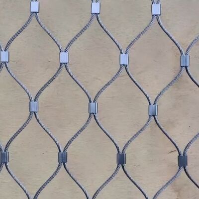 Chăm sóc hình dạng tường nhà trong nhà