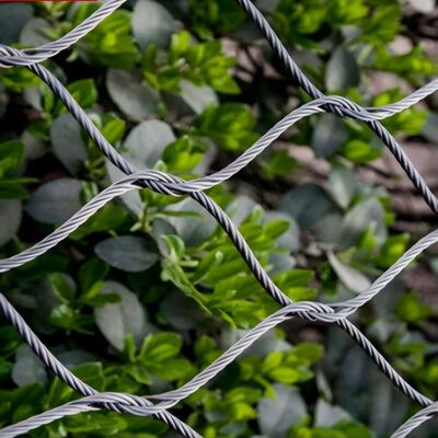 Mạng lưới cáp thép không gỉ linh hoạt được thiết kế cho an toàn trong các dự án kiến trúc