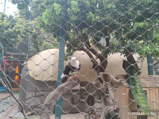 316 Stainless Steel Cable Safety Net Crane Floodlights Quảng cáo