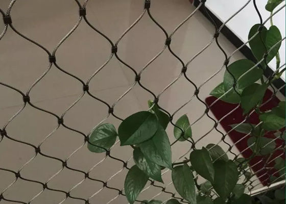 Bức tường trang trí màu xanh lá cây 100x100mm Lưới cáp thép không gỉ linh hoạt