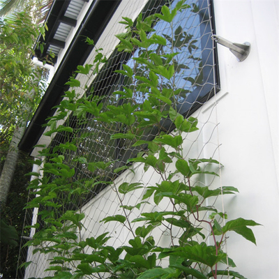 Eco Green Wall 1.2mm Lưới dây thép không gỉ cho mặt tiền xanh