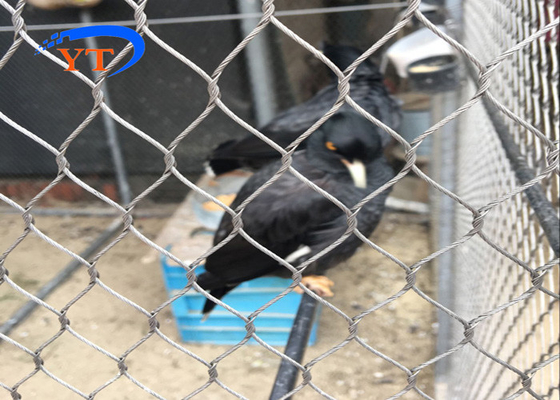 Lưới thép hàng rào Aviary Lưới thép 30 * 30mm