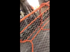 Cửa hàng cáp dây