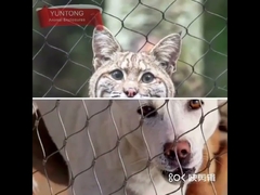 lồng động vật