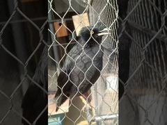 Lưới dây thừng bằng thép không gỉ chắc chắn, dẻo dai, loại đầu nối mềm