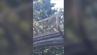 Hàng rào lưới thép không gỉ bảo vệ mùa thu trong vườn