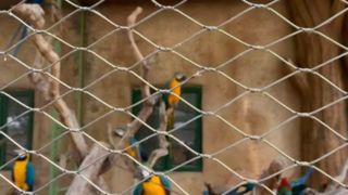 Lưới cáp thép không gỉ dệt trông như thế nào